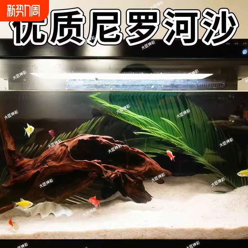 尼罗河沙化妆沙草缸南美缸鼠鱼底砂鱼缸造景底沙河沙黄色细沙水草