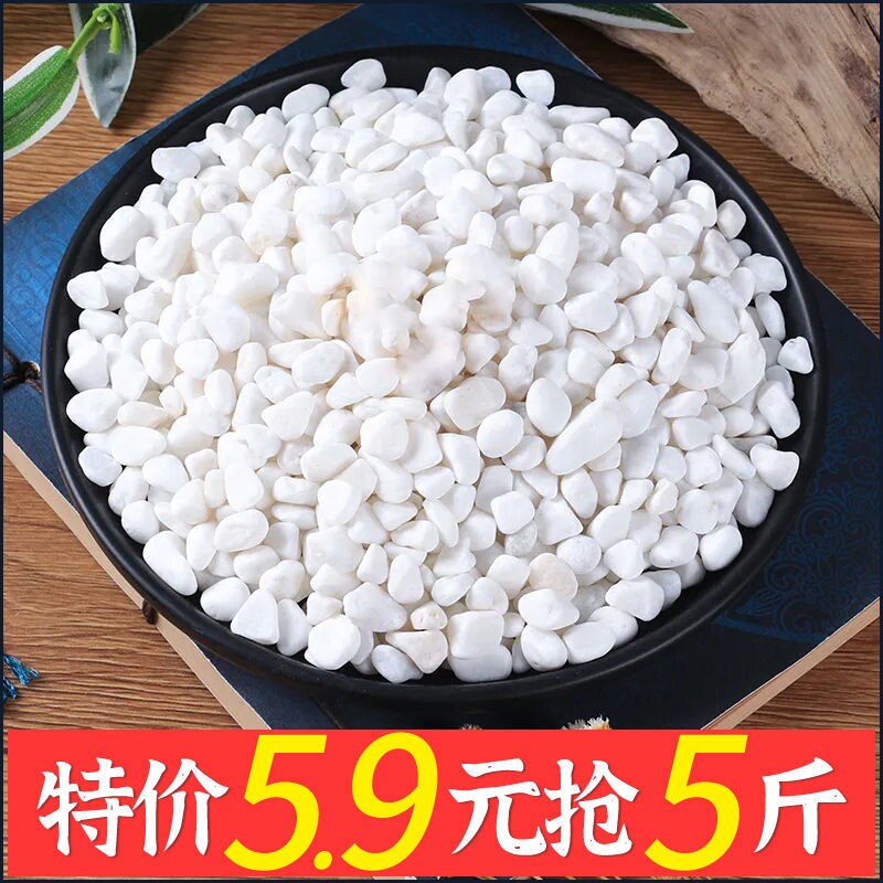 多肉铺面石头鹅卵石雨花石鱼缸底砂造景装饰盆栽庭院铺路小白石子