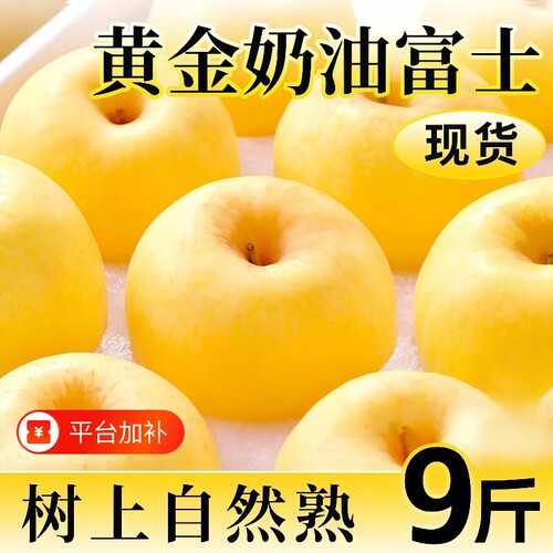 山东烟台黄金奶油富士苹果当季新鲜水果冰糖心牛奶脆甜整箱包邮