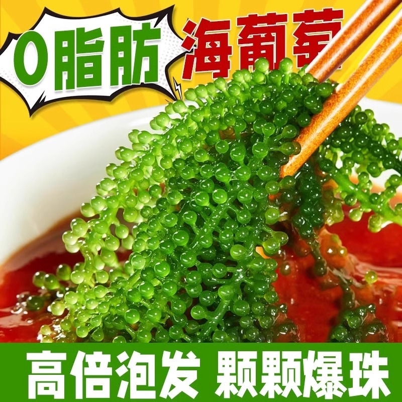 儿童海葡萄新鲜即食泡发盐渍海洋蔬菜植物鱼子酱海藻带宝宝小零食