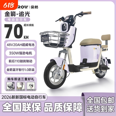 金箭新国标电动自行车