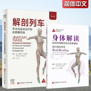 解剖列车 肌筋膜经线医学基础教材人体解剖彩色肌肉功能测试全书 身体解读 手法与运动治疗 奈特身体解读结构 第4版 全2册