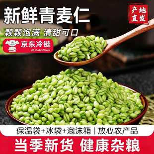 正宗新鲜青麦仁青麦粒米河南正宗麦穗麦子青小麦去皮鲜麦仁粥杂粮