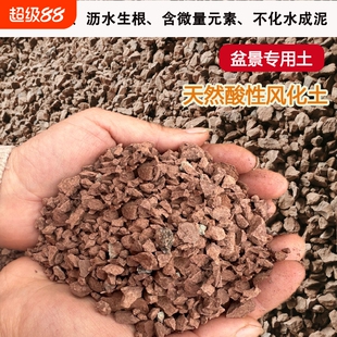 天然风化石风化土颗粒盆景专用土生根酸性红土颗粒金弹子土黄杨土