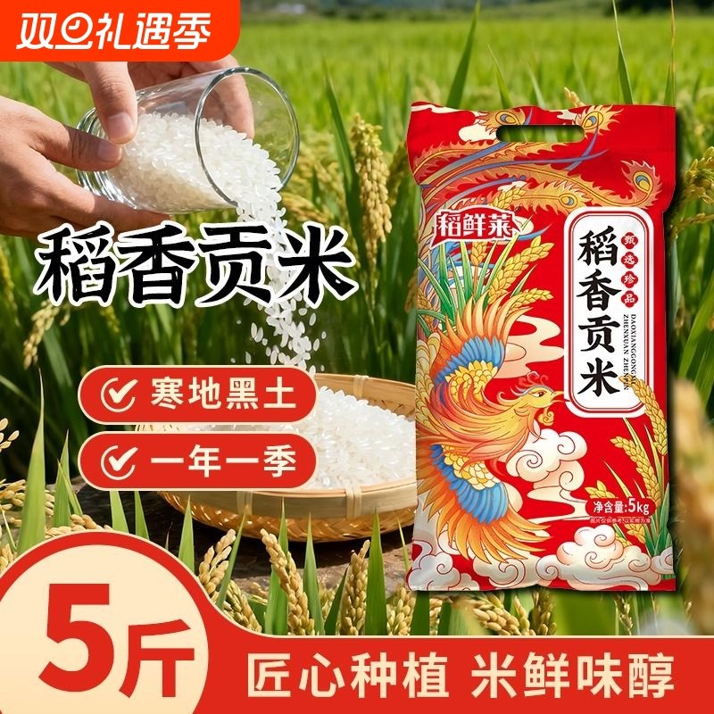 东北大米5kg10斤装当季新米珍珠米20斤产地直发稻香米50斤非