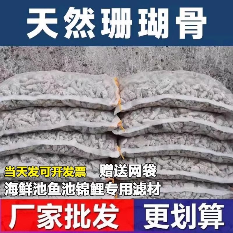 珊瑚骨滤材鱼缸底滤净水吸附珊瑚沙培菌鱼池水族珊瑚骨过滤材料