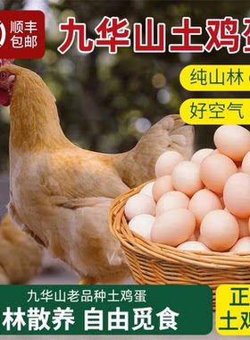 九华山农家散养土鸡蛋新鲜皖南