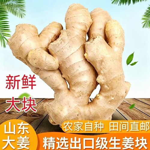 山东大姜生姜老姜新鲜大黄姜块老生姜老黄姜农家泡脚当季农场自种