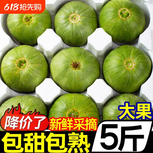 新鲜绿宝甜瓜5斤官方推荐店好吃