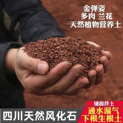 纯天然风化土颗粒风化石土壤盆景生根专用种植铺面疏松石头