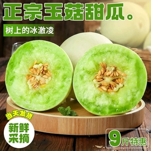 正宗玉菇甜瓜冰淇淋新鲜水果整箱包邮应季现摘现发瓜白瓜奶香次日