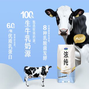 君乐宝浓纯学生营养酸奶利乐钻装200g