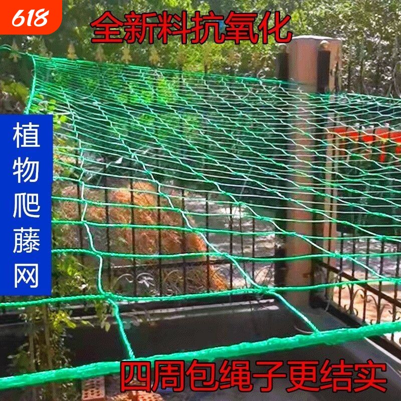园艺植物爬藤网攀爬种植搭架丝瓜百香果豆角藤蔓花卉网农用葡萄棚