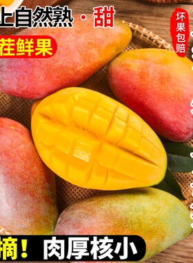 【广西直发】现摘现发树上熟