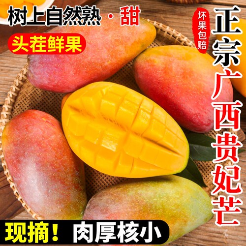 【广西直发】现摘现发树上熟
