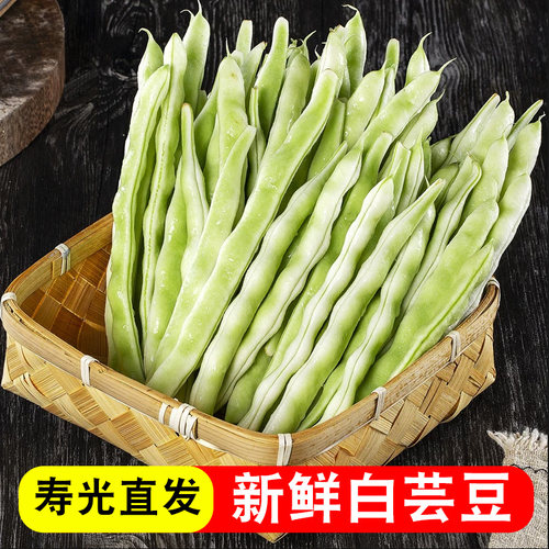山东新鲜白芸豆白不老芸豆