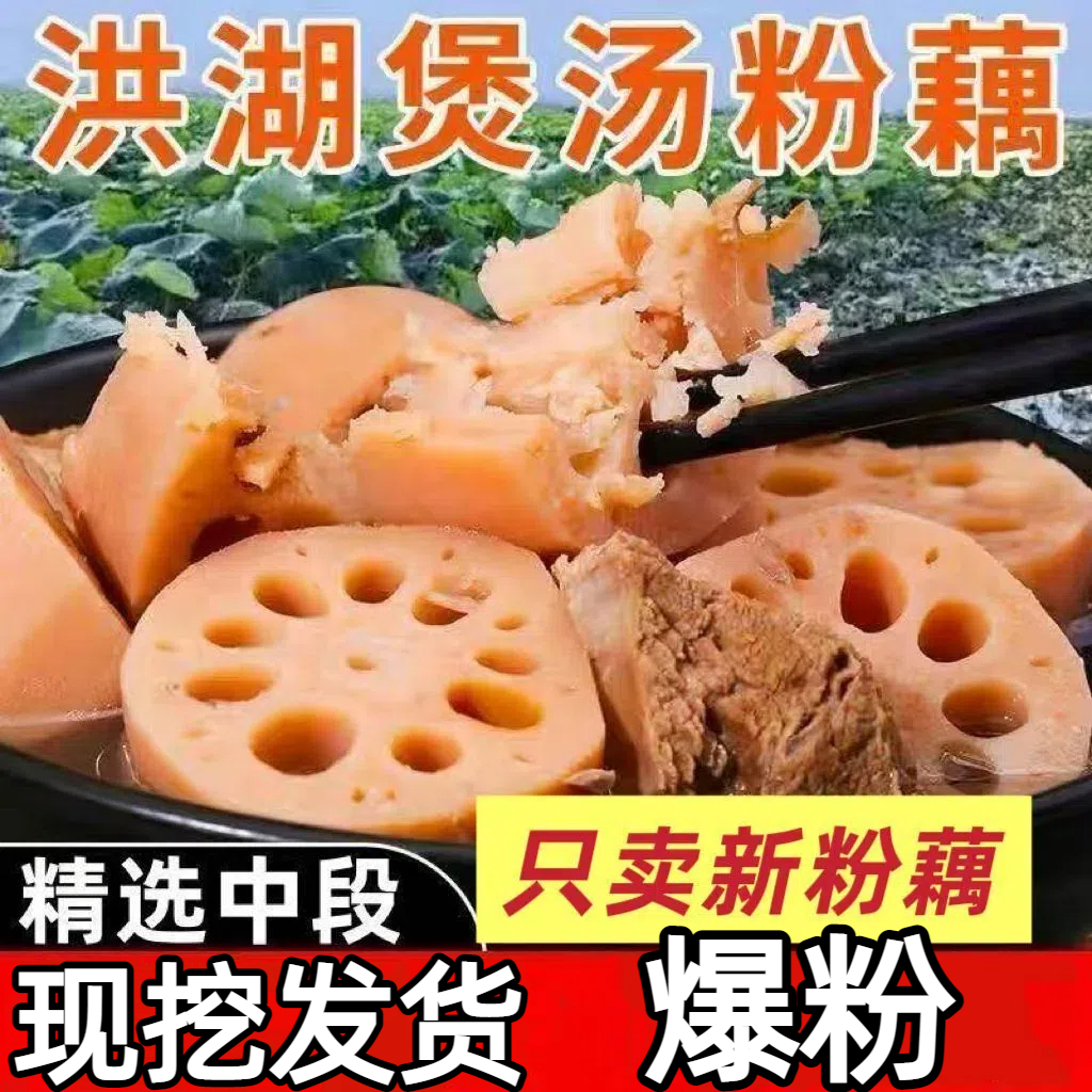 正宗洪湖粉藕莲藕煲汤藕现发糯米藕炖汤九孔藕湖北红莲藕挖现新鲜