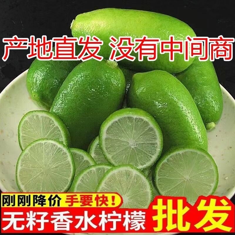 海南无籽香水柠檬子弹头柠檬新鲜正宗青柠檬奶茶店专用当季批发
