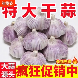 【今日推荐】山东新干蒜特级紫皮大蒜头批发价新鲜红皮优质大蒜子