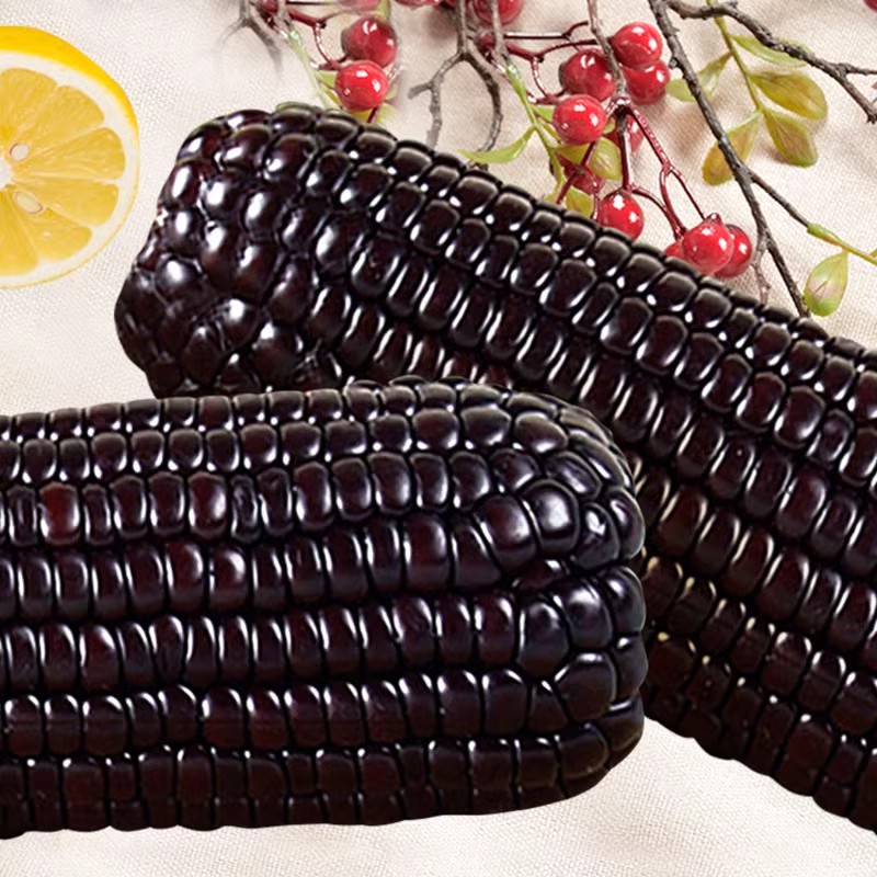 煜松东北黑玉米真空装2025新鲜即食甜糯低脂大棒苞米当季新货