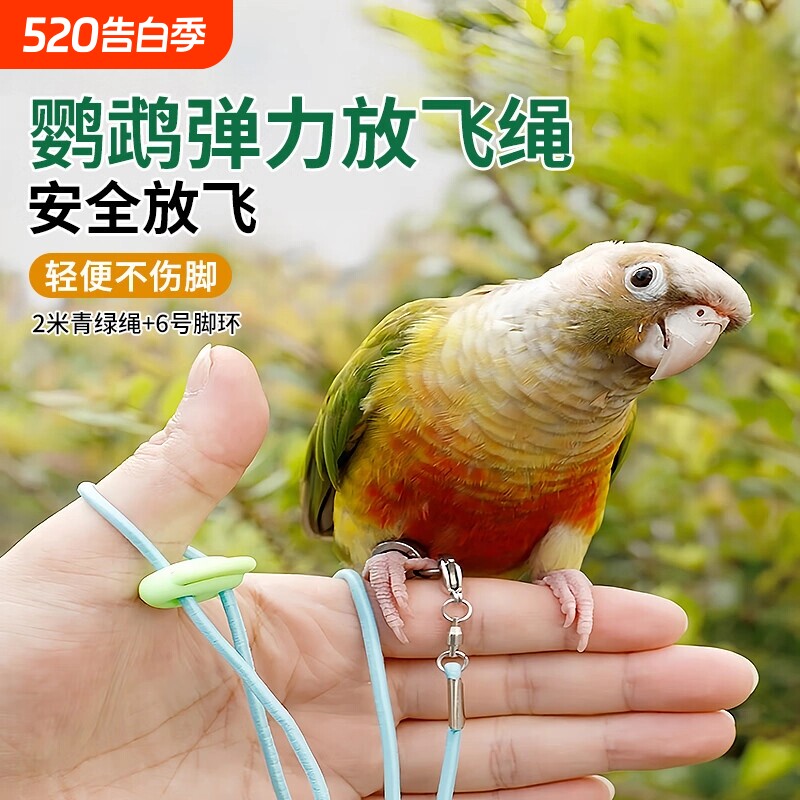 鹦鹉放飞绳超轻遛鸟牵引户外训练绳虎皮牡丹玄凤神器外出八哥