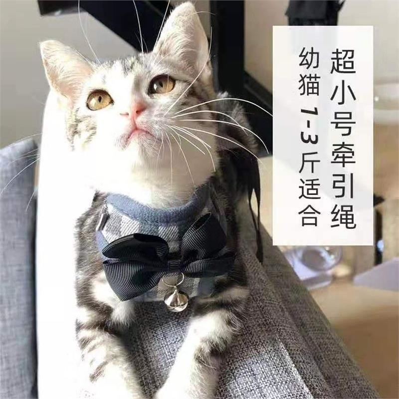 猫咪牵引绳幼猫遛猫绳小猫防挣脱链子背心式猫绳溜猫可调节