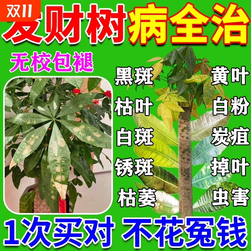 发财树专用营养液促生根急救黄叶枯叶烂根专用药白斑病杀菌剂L