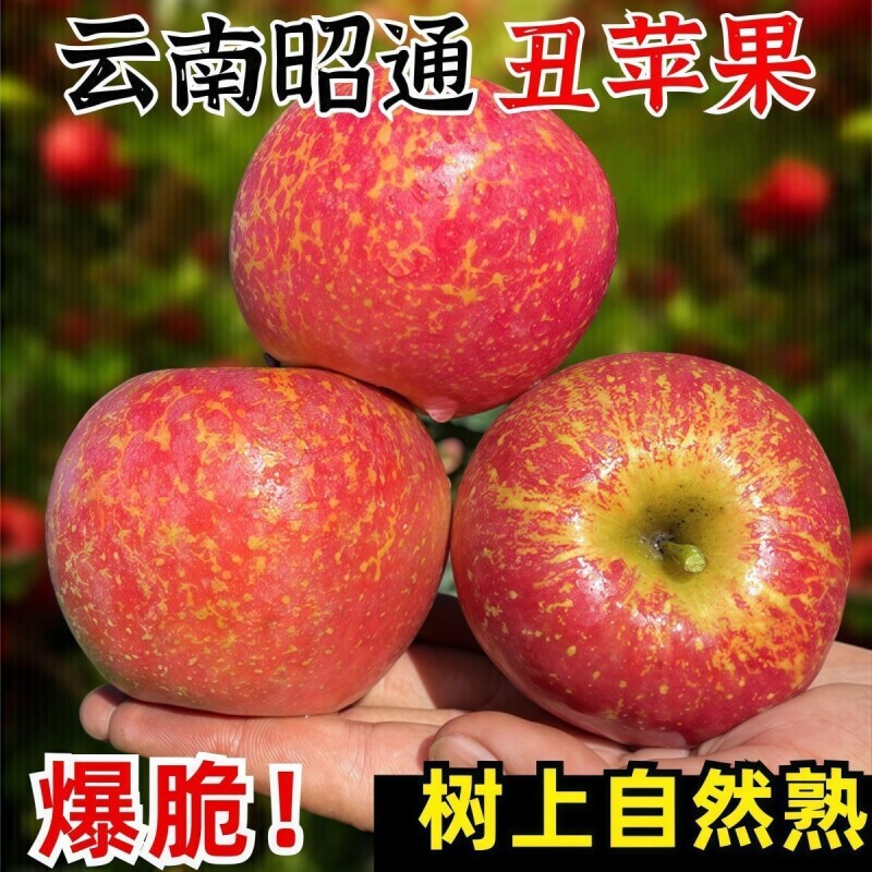云南昭通丑苹果冰糖心新鲜脆水果9斤当季脆甜多汁红富士整箱包邮