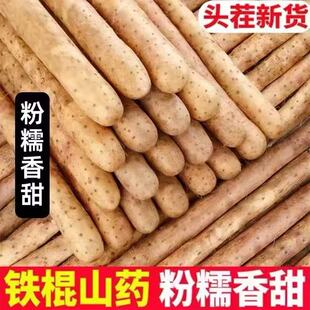 正宗新鲜铁棍山药小白嘴山药淮山药铁杆山药多规格可选产地直发