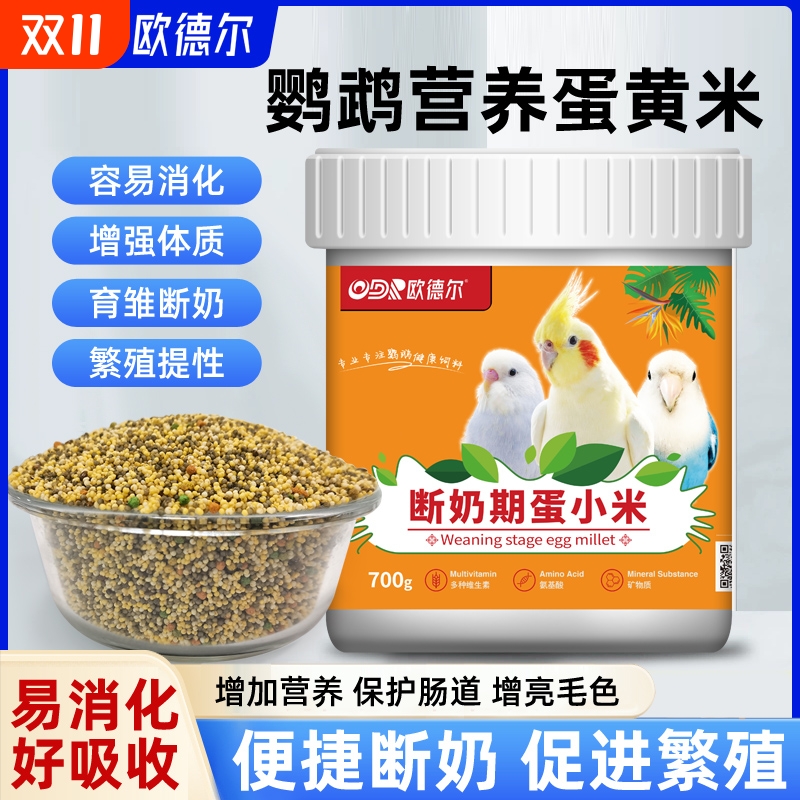 欧德尔鹦鹉蛋小米饲料鸡蛋断奶