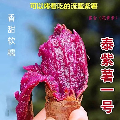 高端品种泰紫薯一号新鲜水晶紫薯烤出糖心蜜薯农家紫红番薯沙地瓜