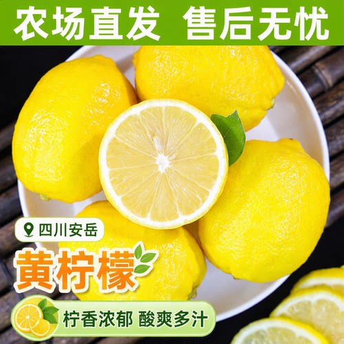 四川安岳黄柠檬新鲜鲜摘一二级