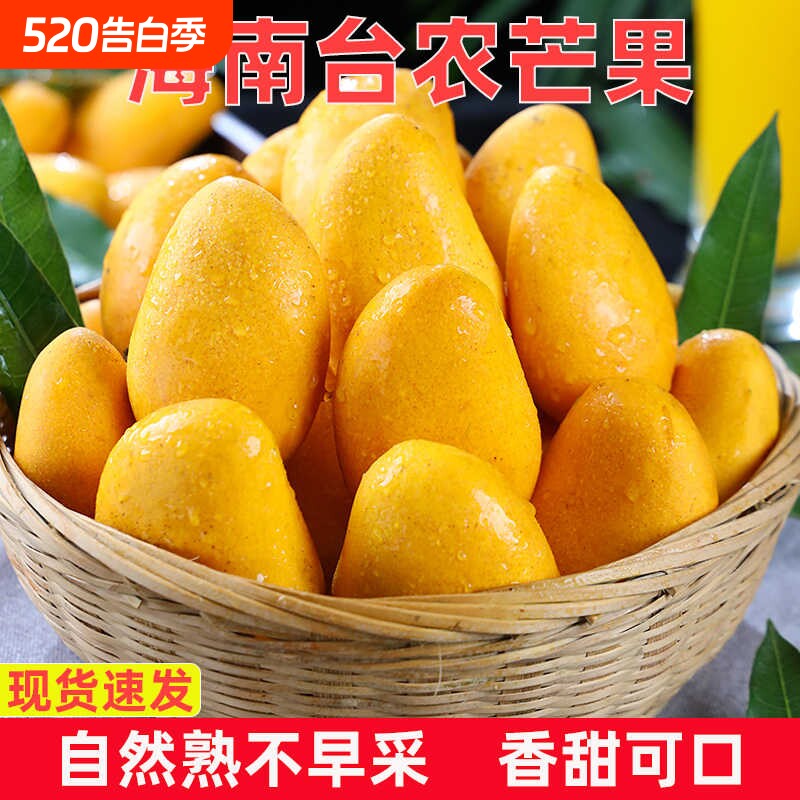 【彩箱+托盘】海南树上熟新鲜现摘海南纯甜鸡蛋芒果当季水果甜心