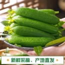 包邮 斤新鲜小黄瓜脆嫩生吃蔬菜整箱 水果黄瓜