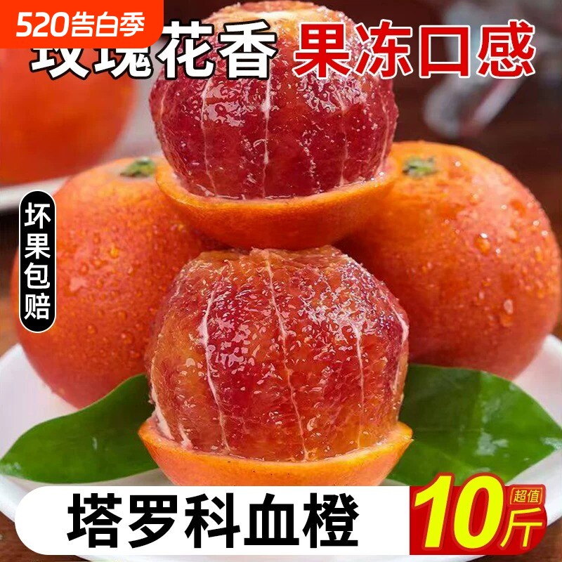 血橙9斤秭归中华红橙子当季现摘新鲜水果红心橙脐整箱