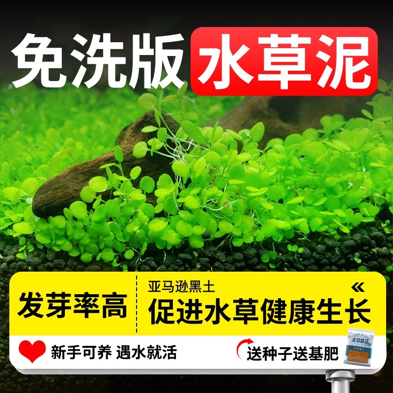 水草泥陶粒砂沙鱼缸底砂水族造景装饰套餐种子基肥不浑水鱼缸底沙