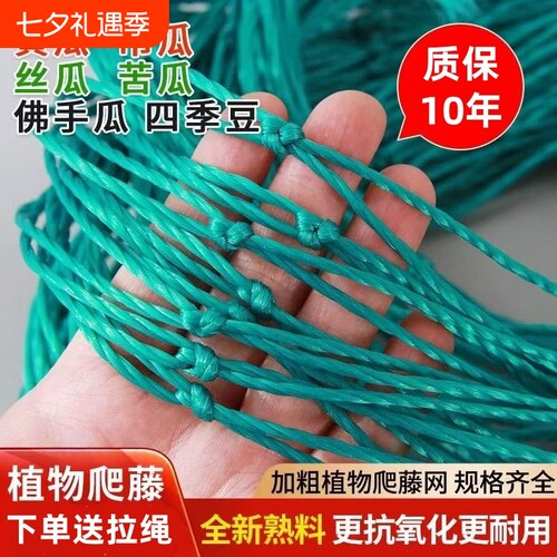 爬藤网植物攀爬网加粗耐用10年