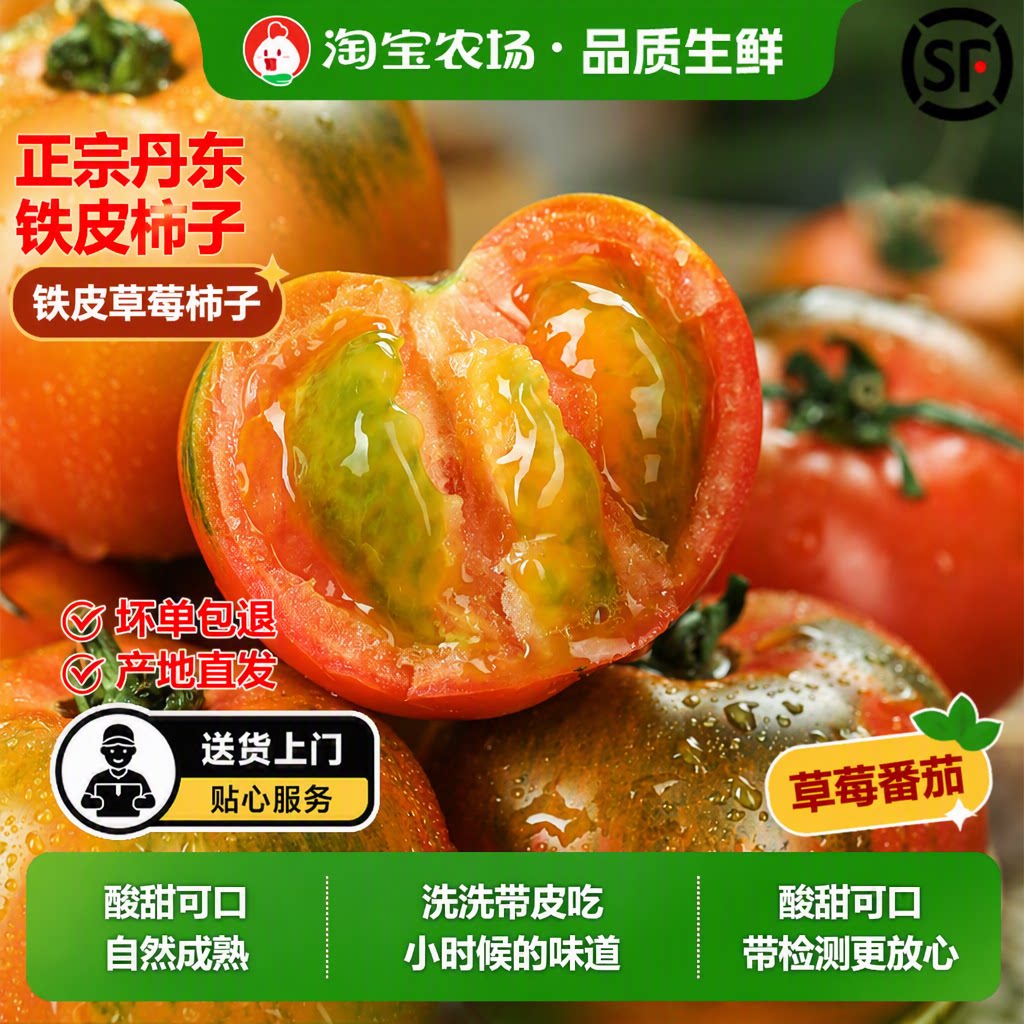 丹东碱地铁皮柿子草莓柿子番茄油柿子灯笼果果实新鲜顺丰包邮现摘