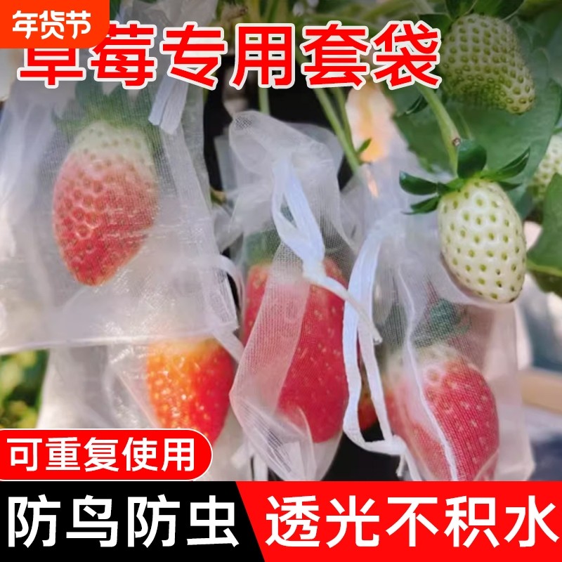 草莓套袋专用袋防虫防鸟尼龙网袋葡萄桃子石榴无花果通用网纱水果
