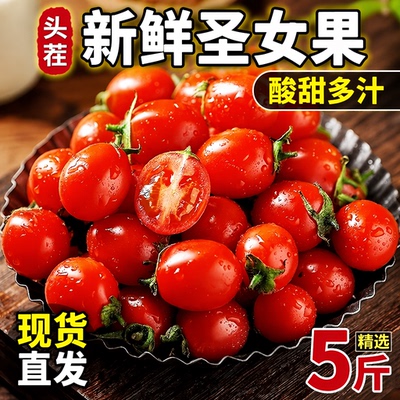 正宗圣女果新鲜小番茄樱桃小西红柿生吃应季水果樱桃小番茄自提