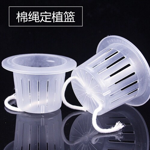 水培植物定植篮无土栽培水培器皿塑料加深种植蔬菜固定器底部种菜