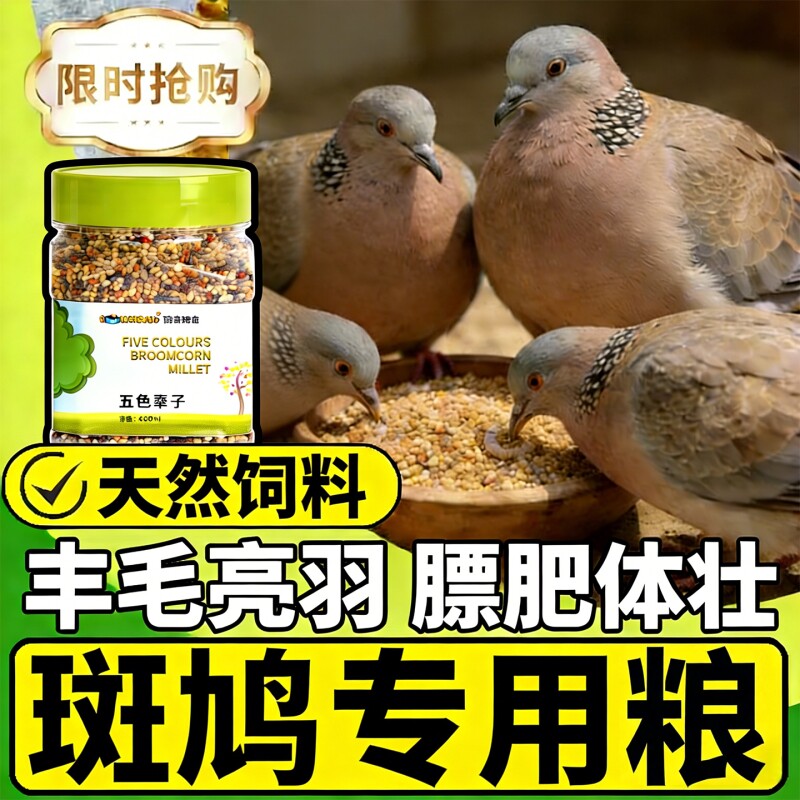 斑鸠专用饲料高粱小麦玉米谷子混合装鸽子鹦鹉麻雀鸟类通用营养粮