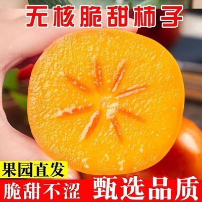 山西甜脆巧克力水果柿子黄甜香硬不涩冰糖心孕妇蔬菜无核脆甜果园