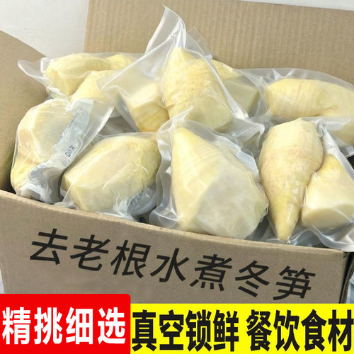 2025野生大冬笋水煮笋新鲜楠竹笋春笋蔬菜火锅食材