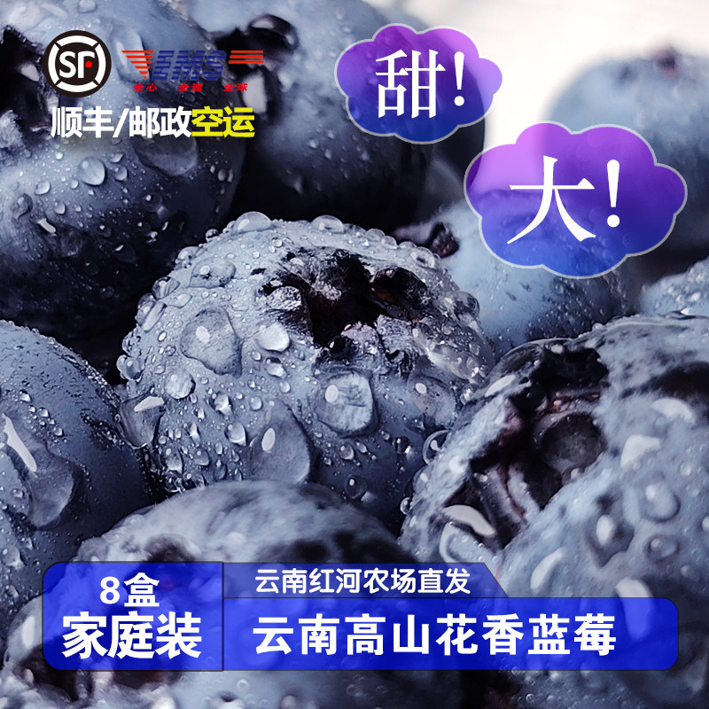 云南新鲜25号花香高山蓝莓应季新鲜蓝莓一颗蓝莓佳品沃送礼