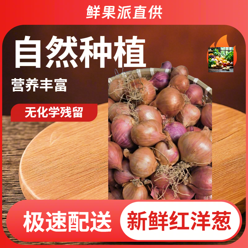 东北珠葱笨毛葱头新鲜农家笨毛葱小圆葱浓香红葱头饭店佐料圆葱头