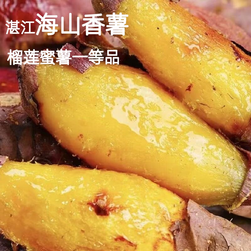 湛江海山香薯 榴莲蜜薯甜过冰糖、糯过榴莲长寿瓜源头直发