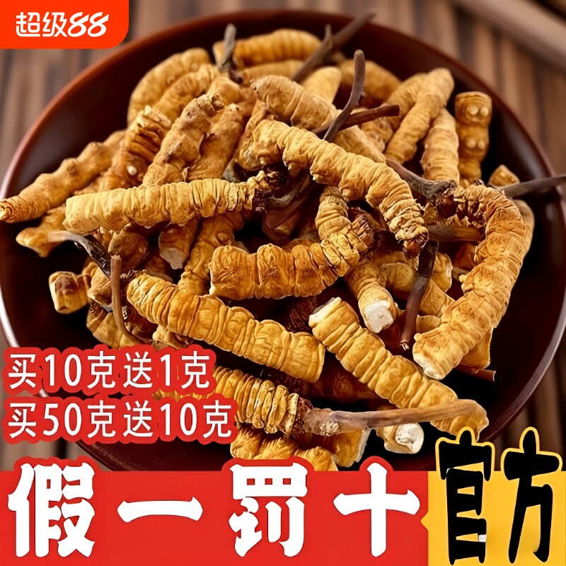 野生冬虫夏草2026西藏那曲头期大断草干货官方旗舰店正品营养滋补