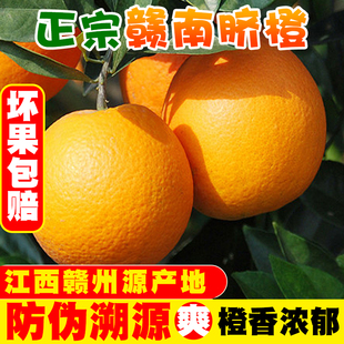 【一品优】赣南精品脐橙5斤