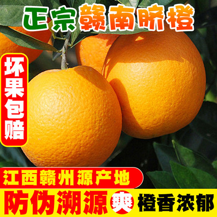 【一品优】正宗赣南脐橙当季应季精品水果脐橙新鲜水果榨汁橙子